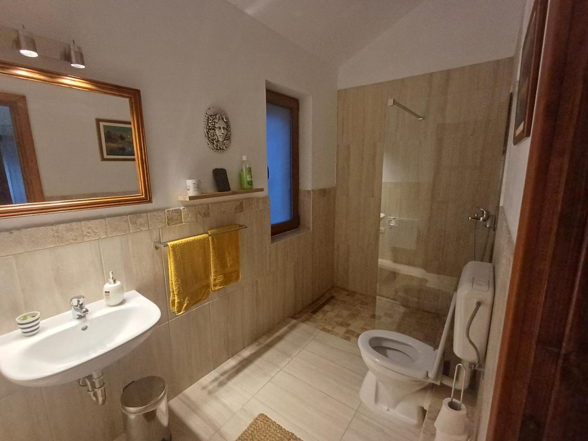 Casa Romana Ieşelniţa Exterior foto
